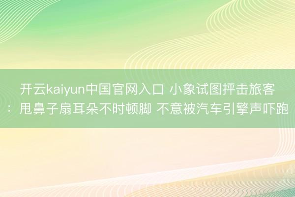 开云kaiyun中国官网入口 小象试图抨击旅客：甩鼻子扇耳朵不时顿脚 不意被汽车引擎声吓跑