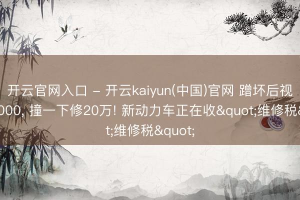 开云官网入口 - 开云kaiyun(中国)官网 蹭坏后视镜报6000, 撞一下修20万! 新动力车正在收"维修税"